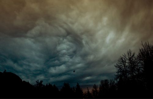 Storm Clouds