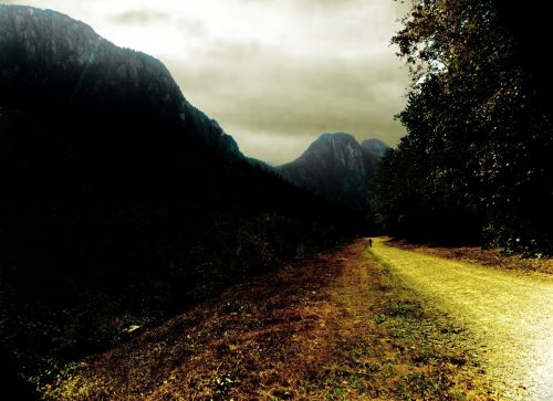 Landscape