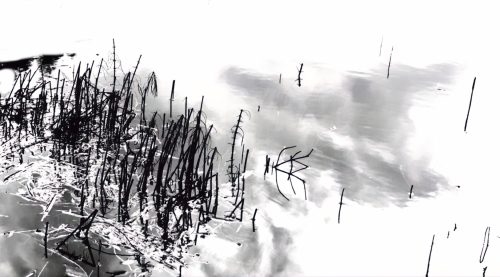 Pond Reed Reflections