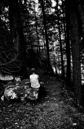 Forest Contemplations