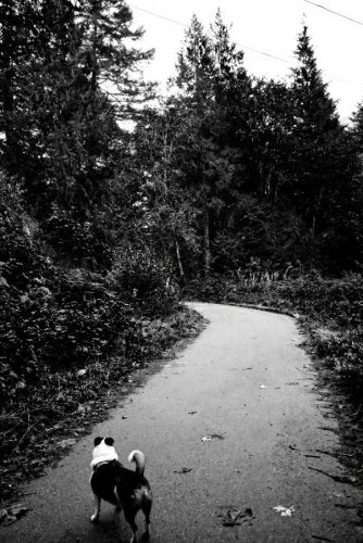 Yogi Evening Walk