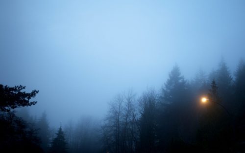 Lamp in the Evening Mist