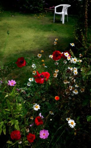 Evening Garden Scene