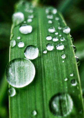 Raindrop Magnifying Glass