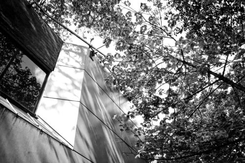 Buildnig & Tree