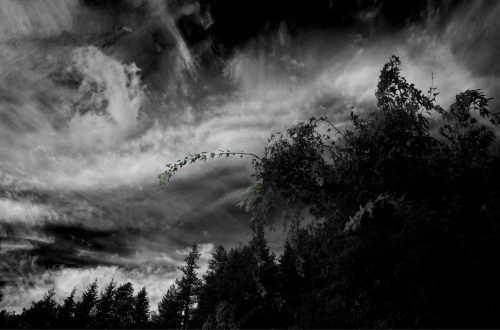 Cloudscape with Branch in B&W