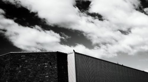 Crow on the roof