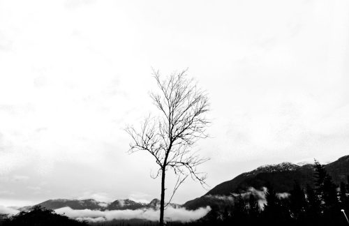 Minimalism scape