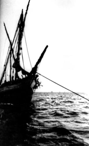 Anchorage 2