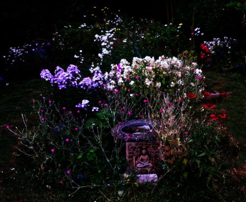 Garden at Twilight