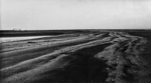 A Walk on the Beach