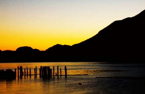 Golden sunset