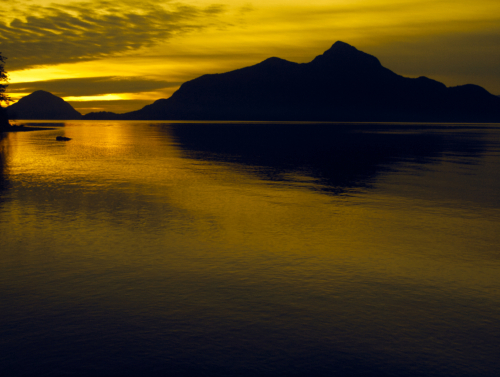 Golden Seascape
