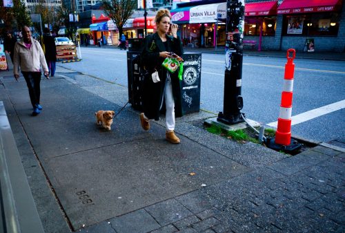 City Dogwalk