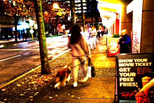 Sidewalk dogwalk