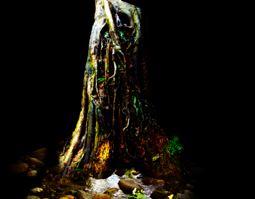 The Poem Tree Overlay