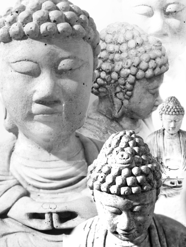 Buddha Heads