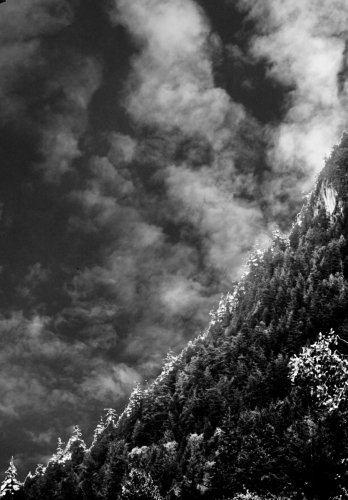 Hillside in BW