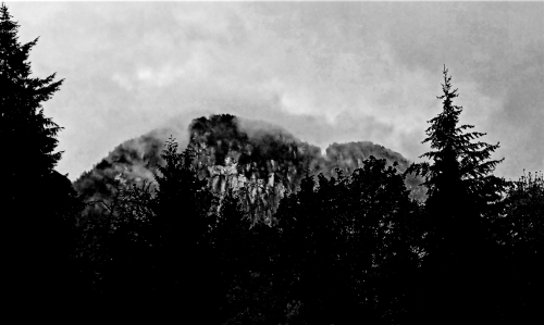 Mountain Mists