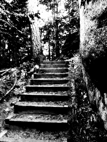 Steps